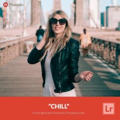 Free Lightroom Preset Chill