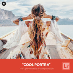 Free Lightroom Preset Cool Portra