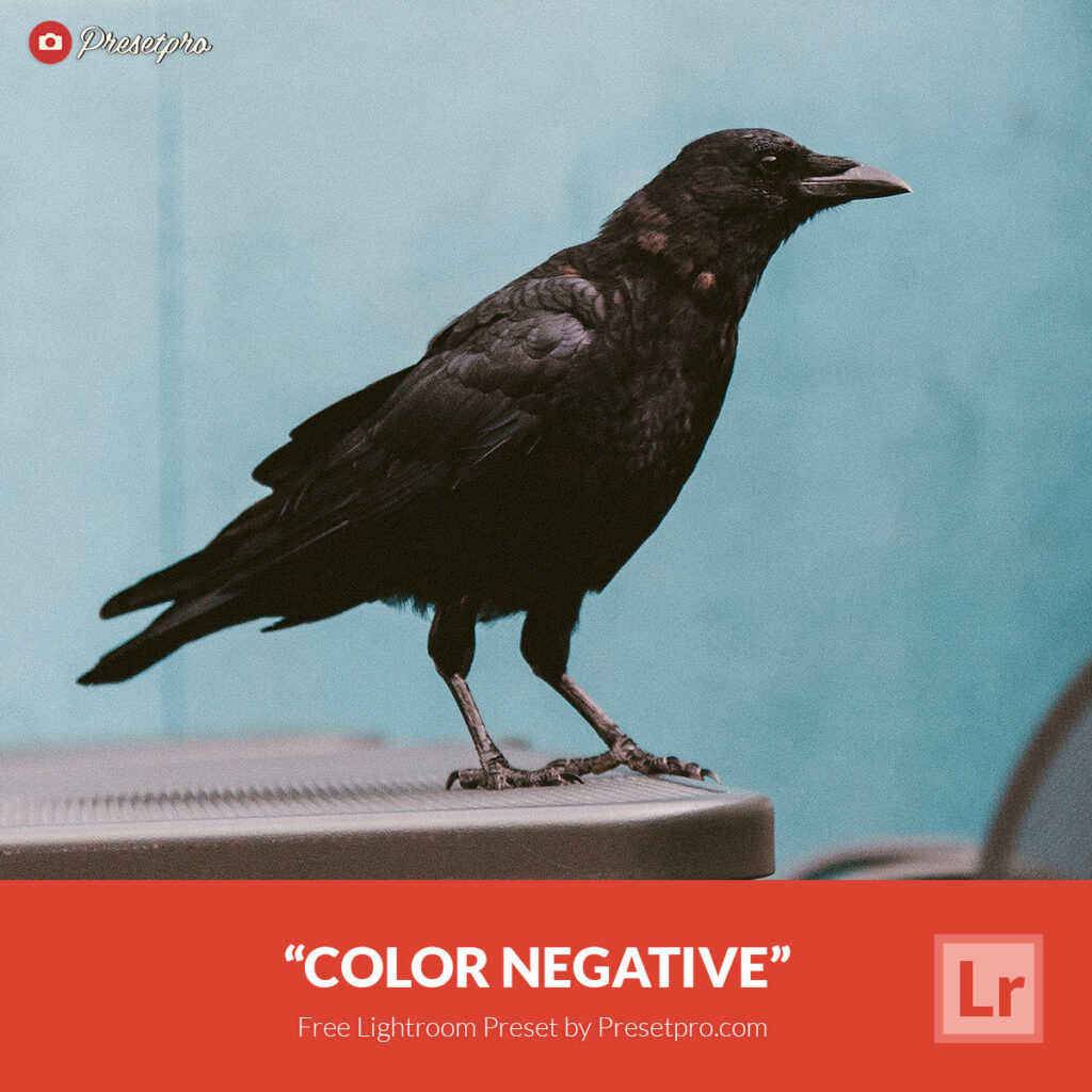 Free Lightroom Preset Color Negative Film by Presetpro.com