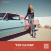 Free Lightroom Preset Pop Culture by Presetpro
