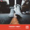 Free Lightroom Preset Moody Vibes by Presetpro.com