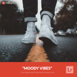 Free Lightroom Preset Moody Vibes by Presetpro.com