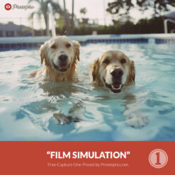Free Capture One Style Film Simulation Presetpro.com