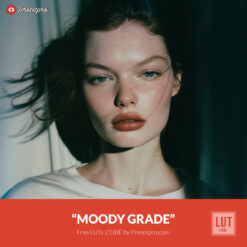 Free LUT Moody Grade Lookup Table Presetpro.com