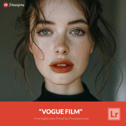 Free Lightroom Preset Vogue Film by Presetpro