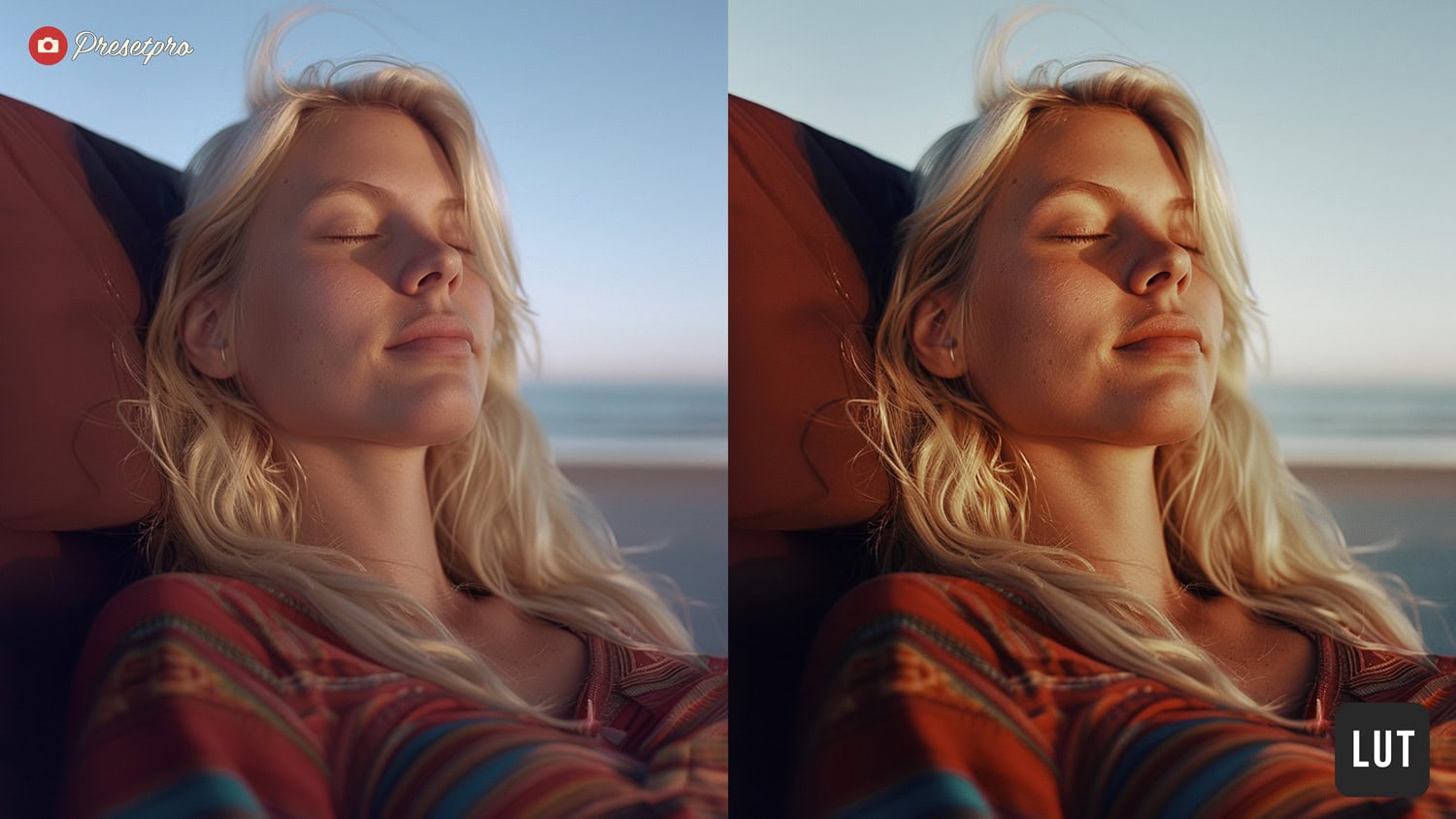 Free LUT Warm Tones Lookup Table Before and After