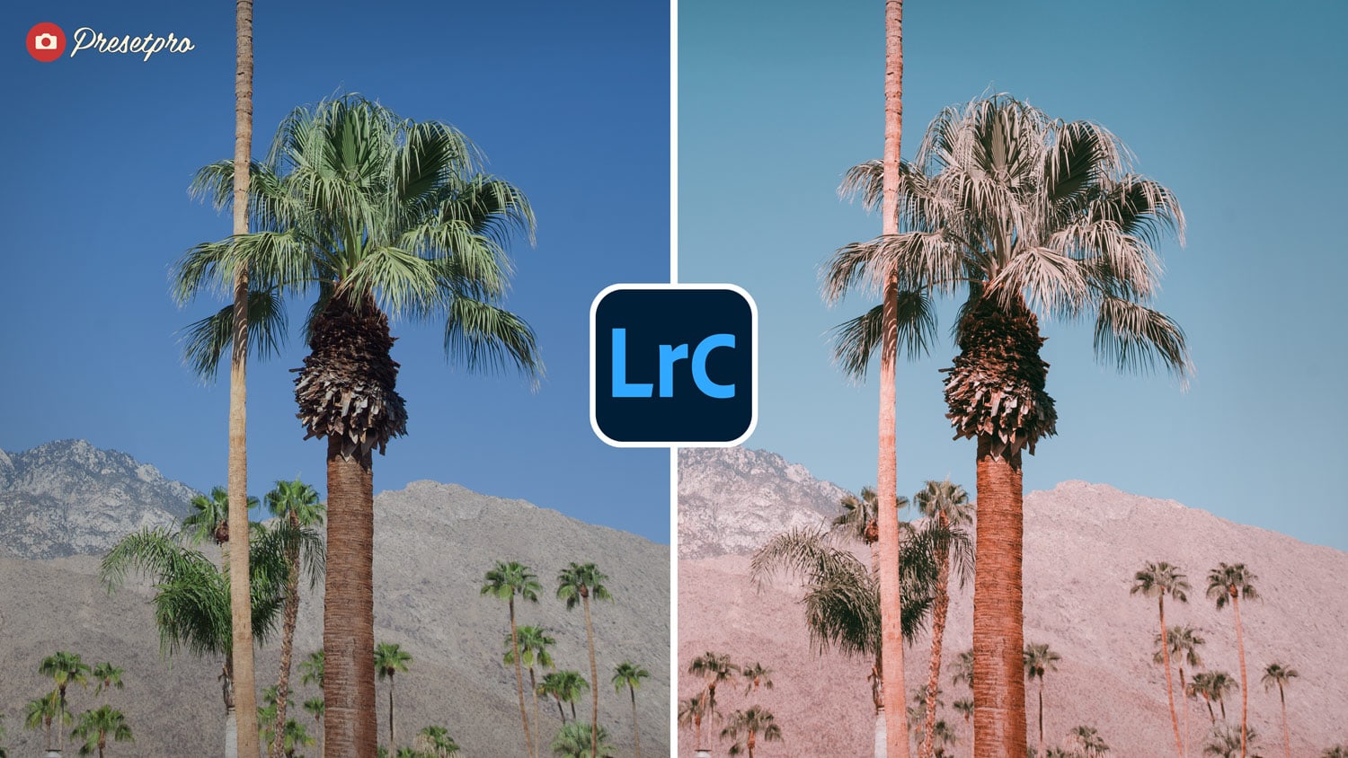 Free Lightroom Preset Palm Springs Before After Presetpro.com