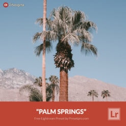Free Lightroom Preset Palm Springs by Presetpro