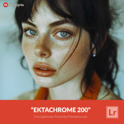Free Lightroom Preset Ektachrome 200 by Presetpro.com