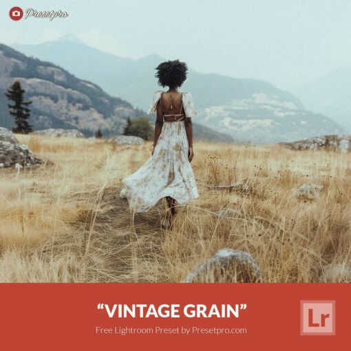 Free Lightroom Preset Vintage Grain by Presetpro