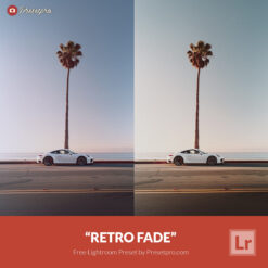 Free Lightroom Preset Retro Fade by Presetpro