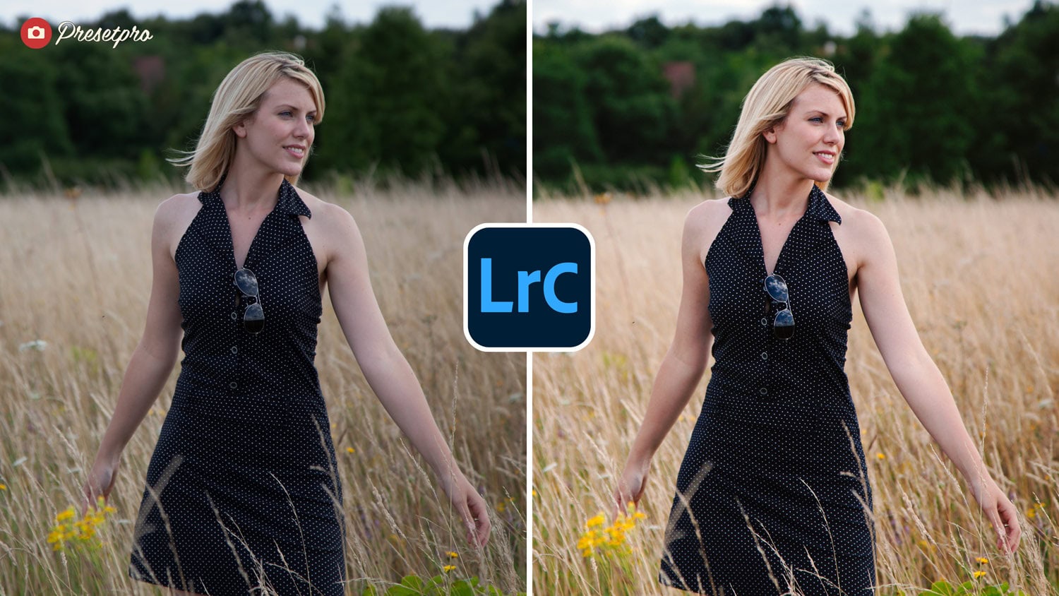 Free Lightroom Preset Fuji Fortia Before After Presetpro.com