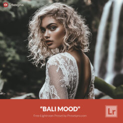 Free Lightroom Preset Bali Mood by Presetpro
