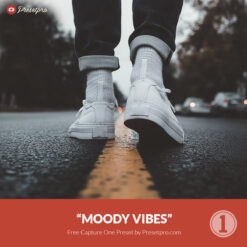 Free Capture One Style Moody Vibes Presetpro.com